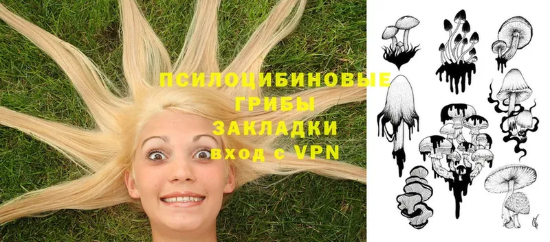 Псилоцибиновые грибы Psilocybe  где купить   Усолье 